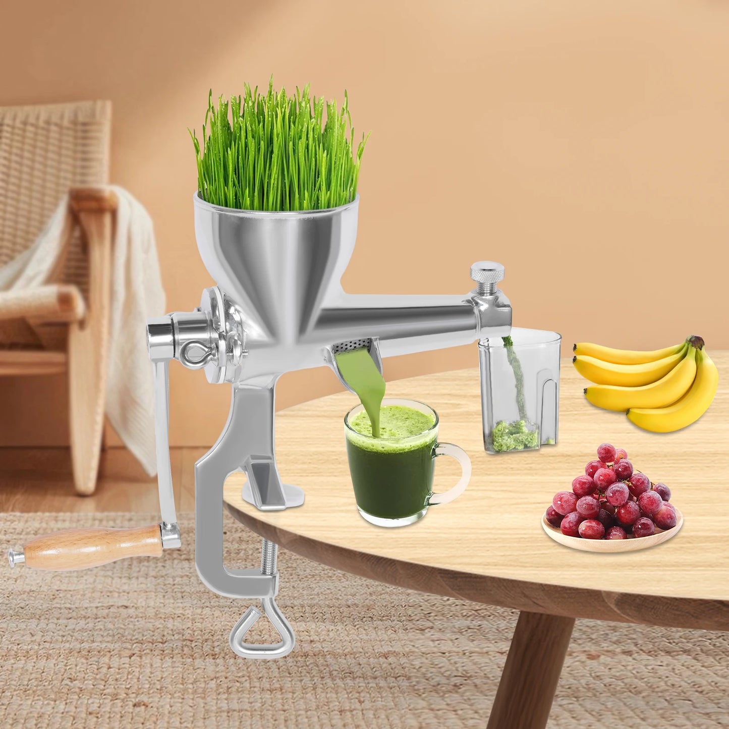 Stainless Steel Manual Juicer with Screw Clamp for Wheatgrass and Fruit Vegetable Extrusion Silver